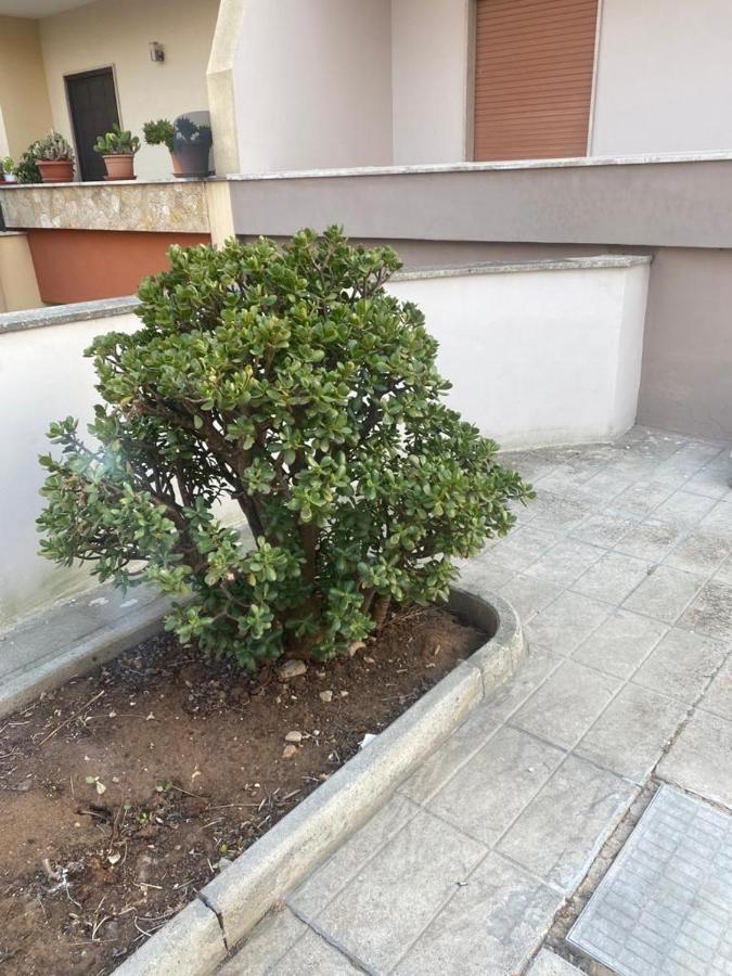 Hotel Giardino Massari Lecce Exteriér fotografie